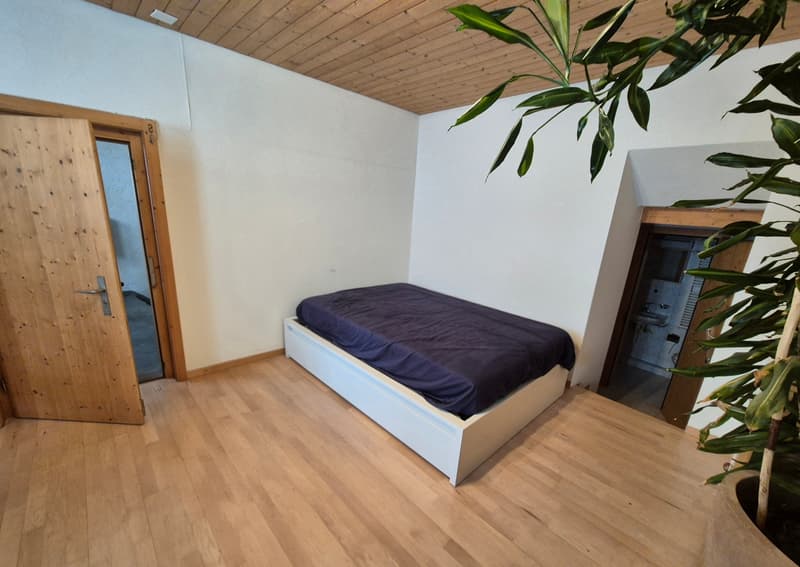 1½ ZI-WOHNUNG IN TAMINS (GR), MÖBLIERT, TEMPORÄR (2)