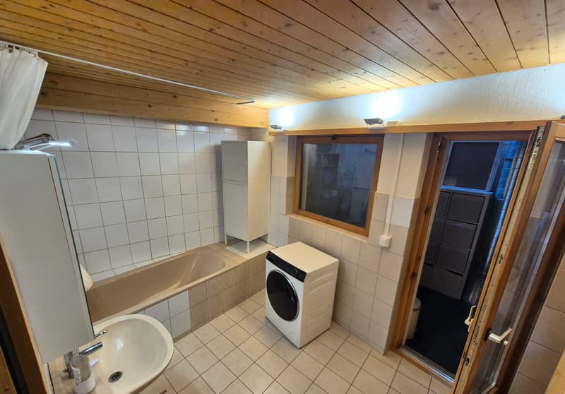 3½ ZI-WOHNUNG IN TAMINS (GR), MÖBLIERT, TEMPORÄR (8)