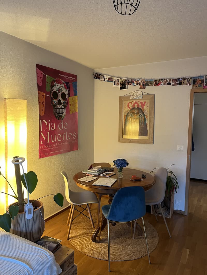 2½ ZI-WOHNUNG IN BERN - BÜMPLIZ, MÖBLIERT, TEMPORÄR (2)
