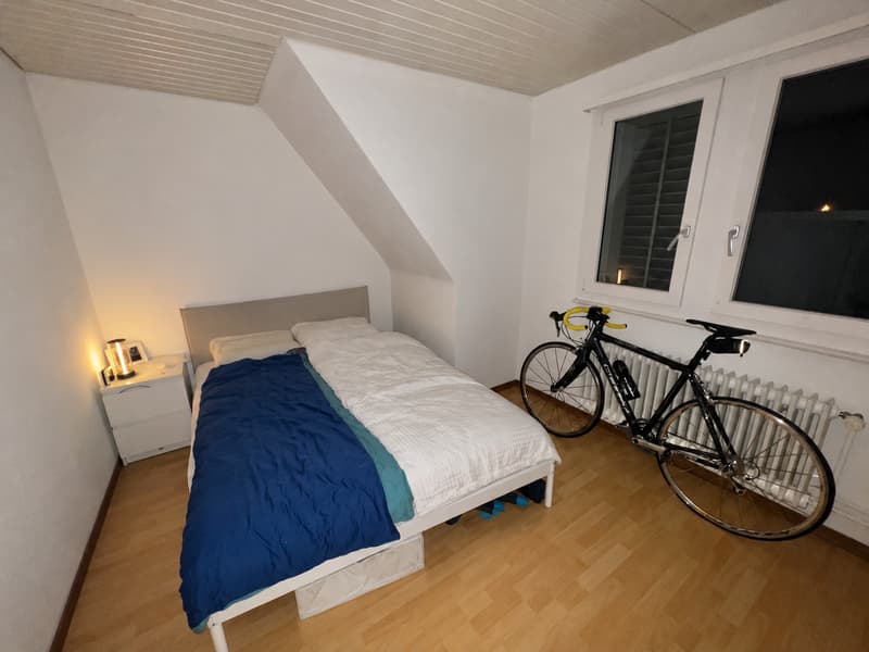 2½ ZIMMER-DACHWOHNUNG IN ST. GALLEN, MÖBLIERT (5)