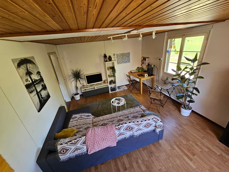 2½ ZI-WOHNUNG IN BELP (BE), MÖBLIERT, TEMPORÄR (1)