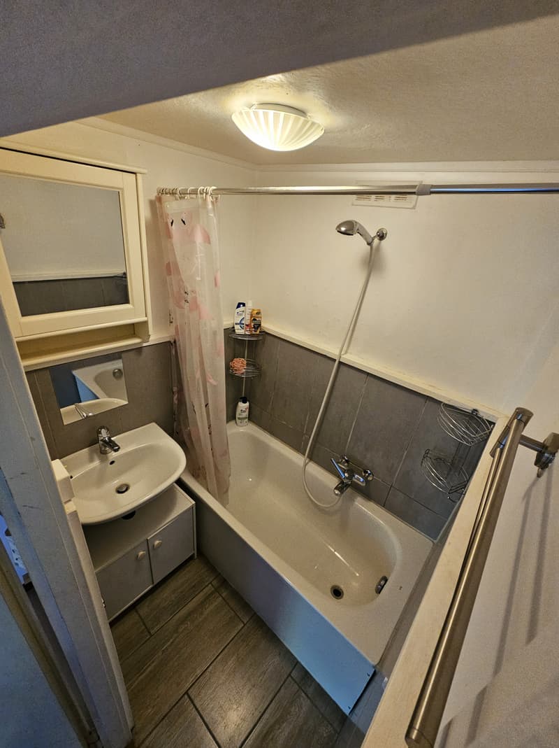 2½ ZI-WOHNUNG IN BELP (BE), MÖBLIERT, TEMPORÄR (7)