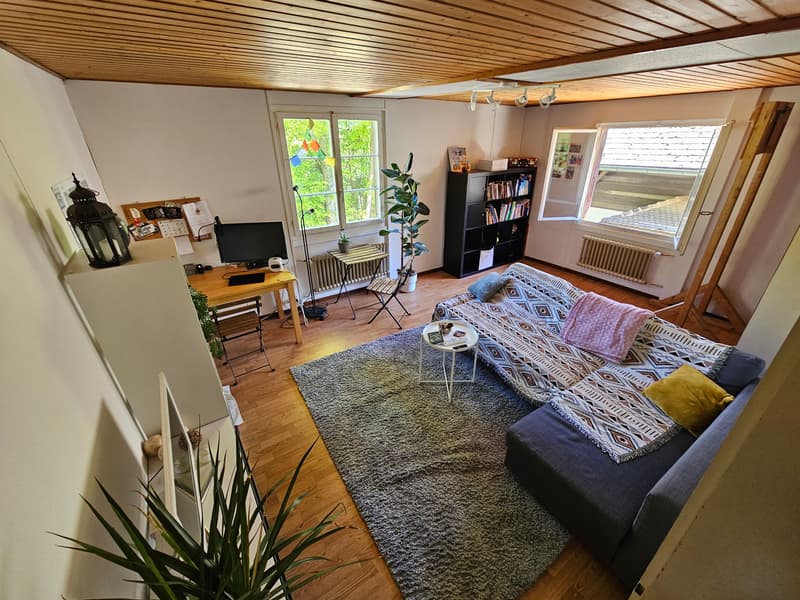 2½ ZI-WOHNUNG IN BELP (BE), MÖBLIERT, TEMPORÄR (2)