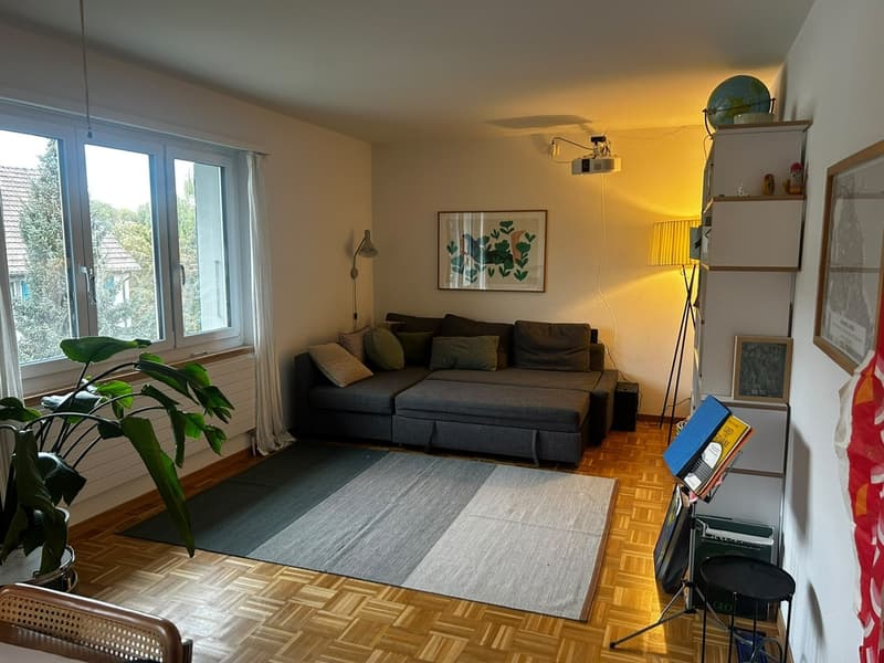 4 ZI-WOHNUNG IN BERN - BREITENRAIN, MÖBLIERT, TEMPORÄR (1)