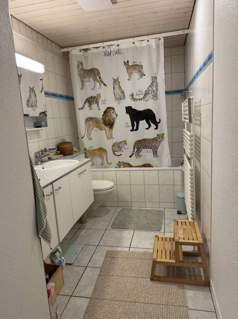 4 ZI-WOHNUNG IN BERN - BREITENRAIN, MÖBLIERT, TEMPORÄR (8)