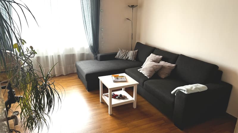 2½ ZI-WOHNUNG IN THUN (BE), MÖBLIERT, TEMPORÄR (1)