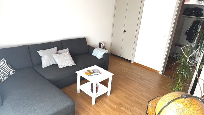 2½ ZI-WOHNUNG IN THUN (BE), MÖBLIERT, TEMPORÄR (2)