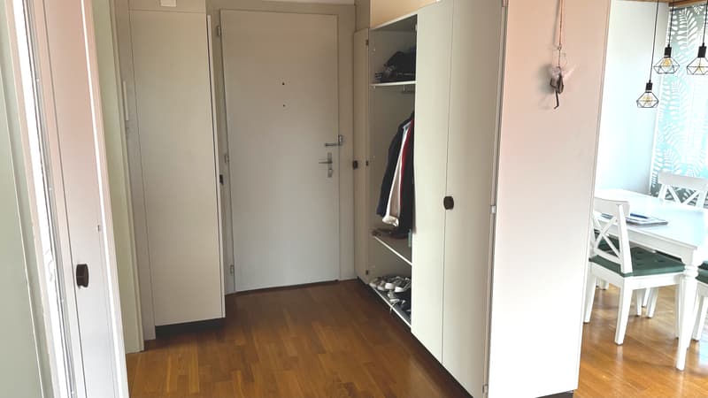 2½ ZI-WOHNUNG IN THUN (BE), MÖBLIERT, TEMPORÄR (4)
