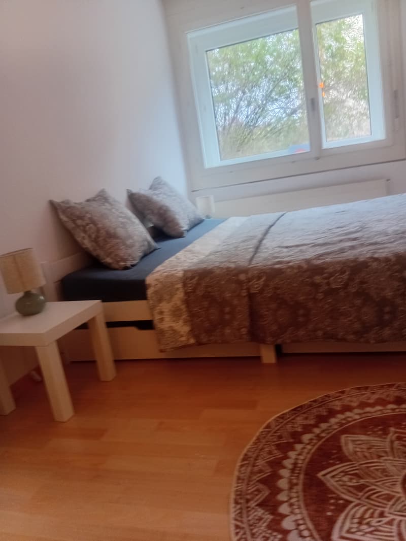 4½ ZI-WOHNUNG IN IPSACH (BE), MÖBLIERT, TEMPORÄR (1)