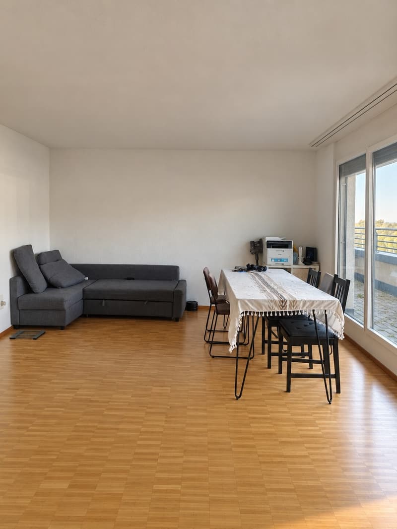 3½ ZI-WOHNUNG IN OLTEN (SO), MÖBLIERT, TEMPORÄR (2)