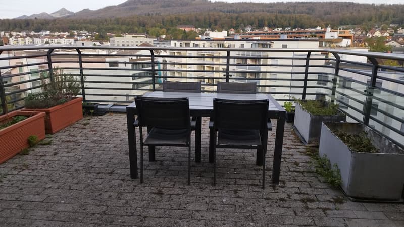 3½ ZI-WOHNUNG IN OLTEN (SO), MÖBLIERT, TEMPORÄR (6)