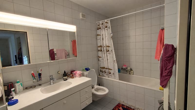 3½ ZI-WOHNUNG IN OLTEN (SO), MÖBLIERT, TEMPORÄR (4)
