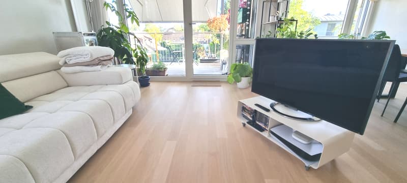 3½ ZI-WOHNUNG IN BERN - OSTRING, MÖBLIERT, TEMPORÄR (3)