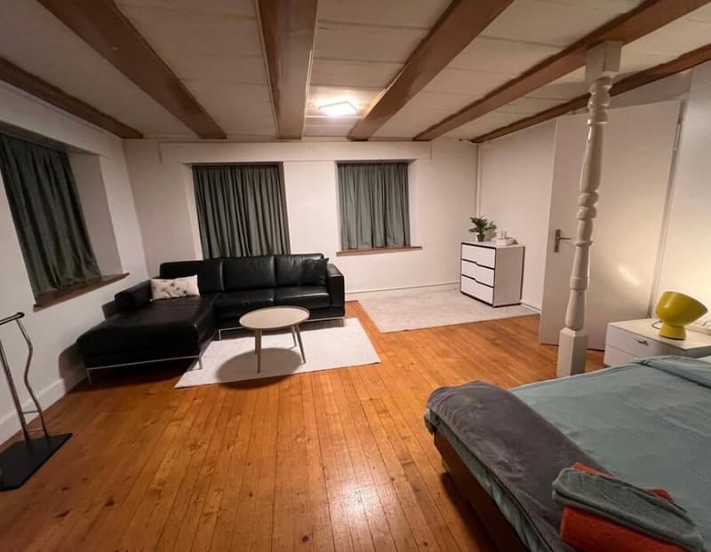 2 ZI-WOHNUNG IN HAUENSTEIN (SO), MÖBLIERT, TEMPORÄR (1)