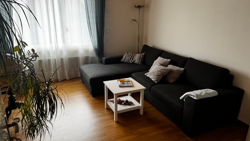 2½ ZI-WOHNUNG IN THUN (BE), MÖBLIERT, TEMPORÄR (1)