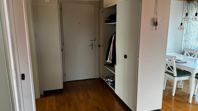 2½ ZI-WOHNUNG IN THUN (BE), MÖBLIERT, TEMPORÄR (4)