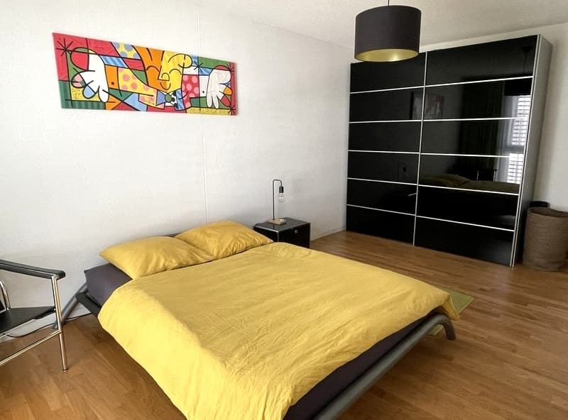 2½ ZI-WOHNUNG IN ZOFINGEN (AG), MÖBLIERT, TEMPORÄR (5)