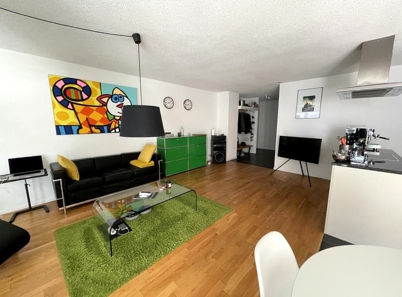 2½ ZI-WOHNUNG IN ZOFINGEN (AG), MÖBLIERT, TEMPORÄR (3)
