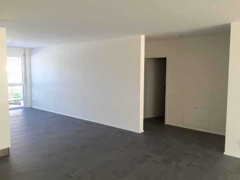 3.5-Zimmer-Attikawohnung (4)