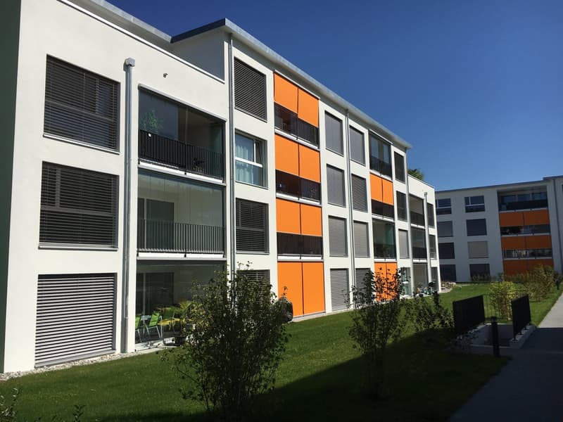 Appartamento attico 3,5 locali (1)