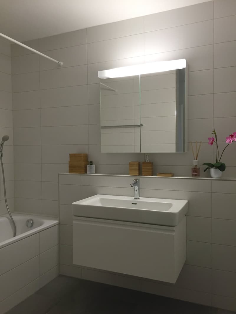 Appartamento attico 3,5 locali (5)