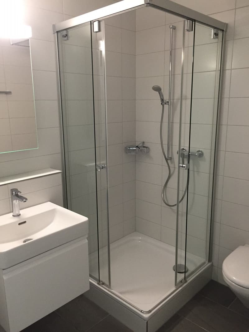 Appartamento attico 3,5 locali (6)