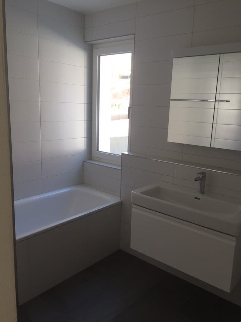 Appartamento moderno 3.5 locali al 1° piano (7)