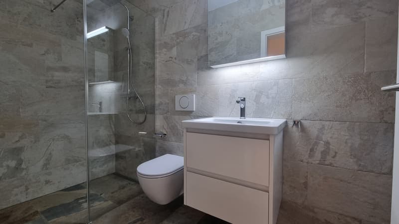Appartamento moderno 4.5 locali (5)