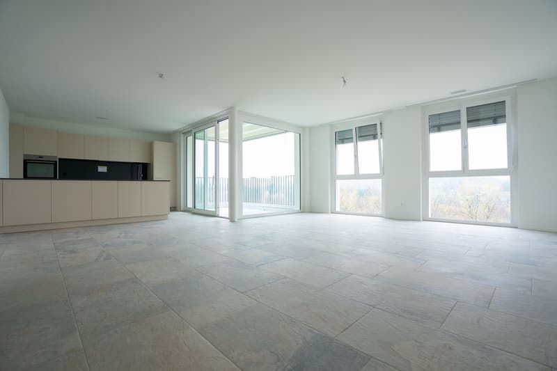 Appartamento moderno 4.5 locali (3)