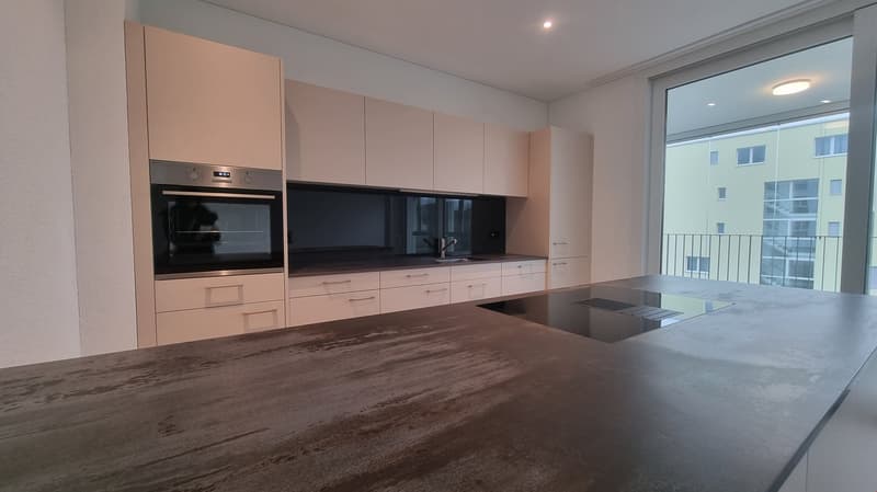 Appartamento moderno 4.5 locali (2)