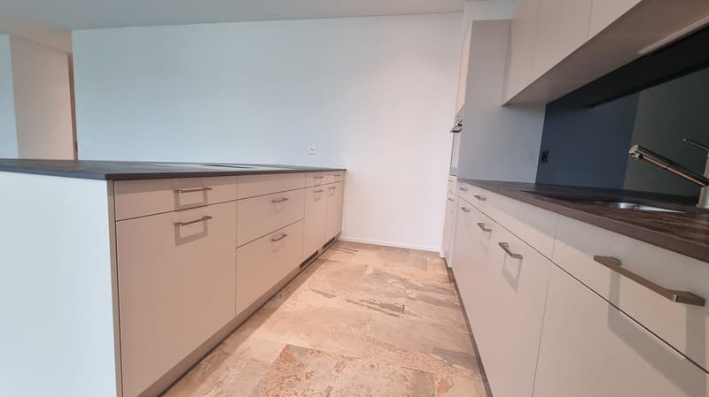 Appartamento moderno 4.5 locali (1)