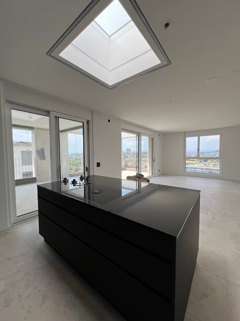 4.5-room attic apartment with spectacular views (4)