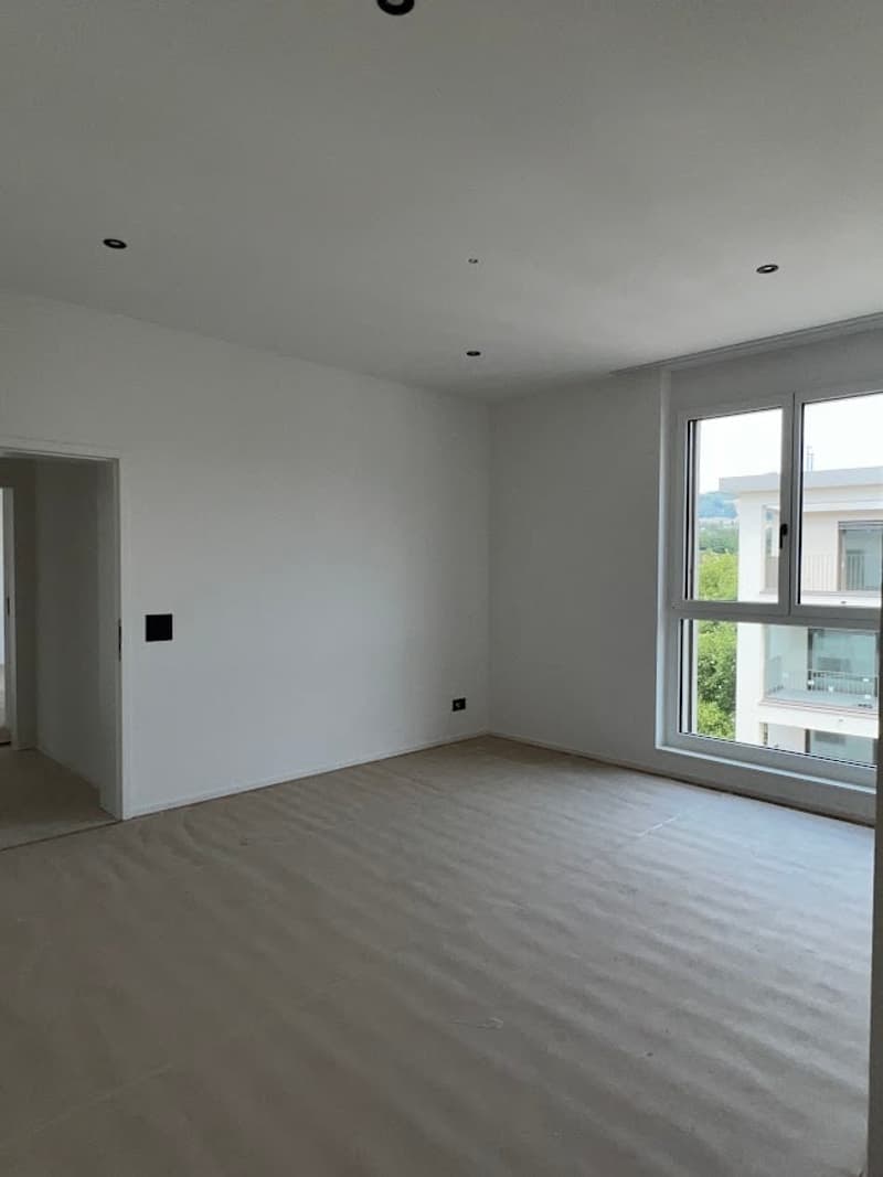 4.5-room attic apartment with spectacular views (14)
