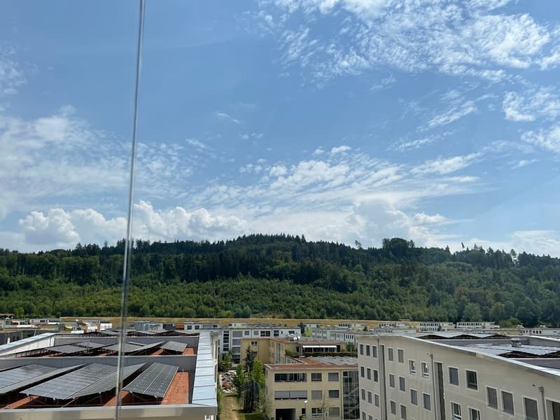 Appartamento di 5,5 locali in standard da proprietario - nuovo edificio (12)