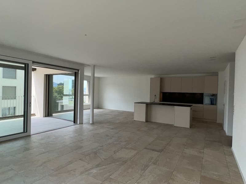 Appartamento di 5,5 locali in standard da proprietario - nuovo edificio (1)