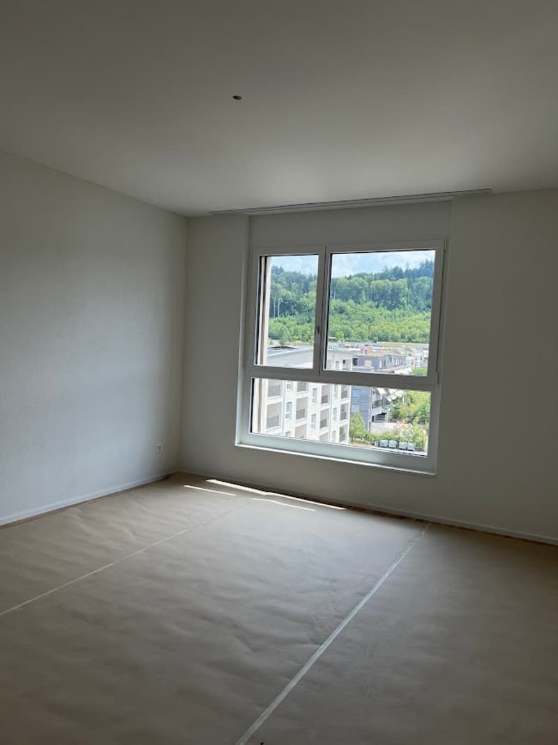 Appartamento di 5,5 locali in standard da proprietario - nuovo edificio (6)
