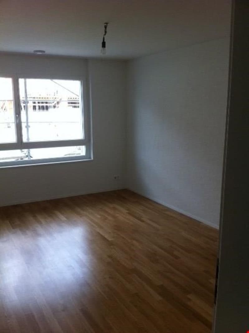 Appartement lumineux 4.5 pièces au rez-de-chaussée (7)