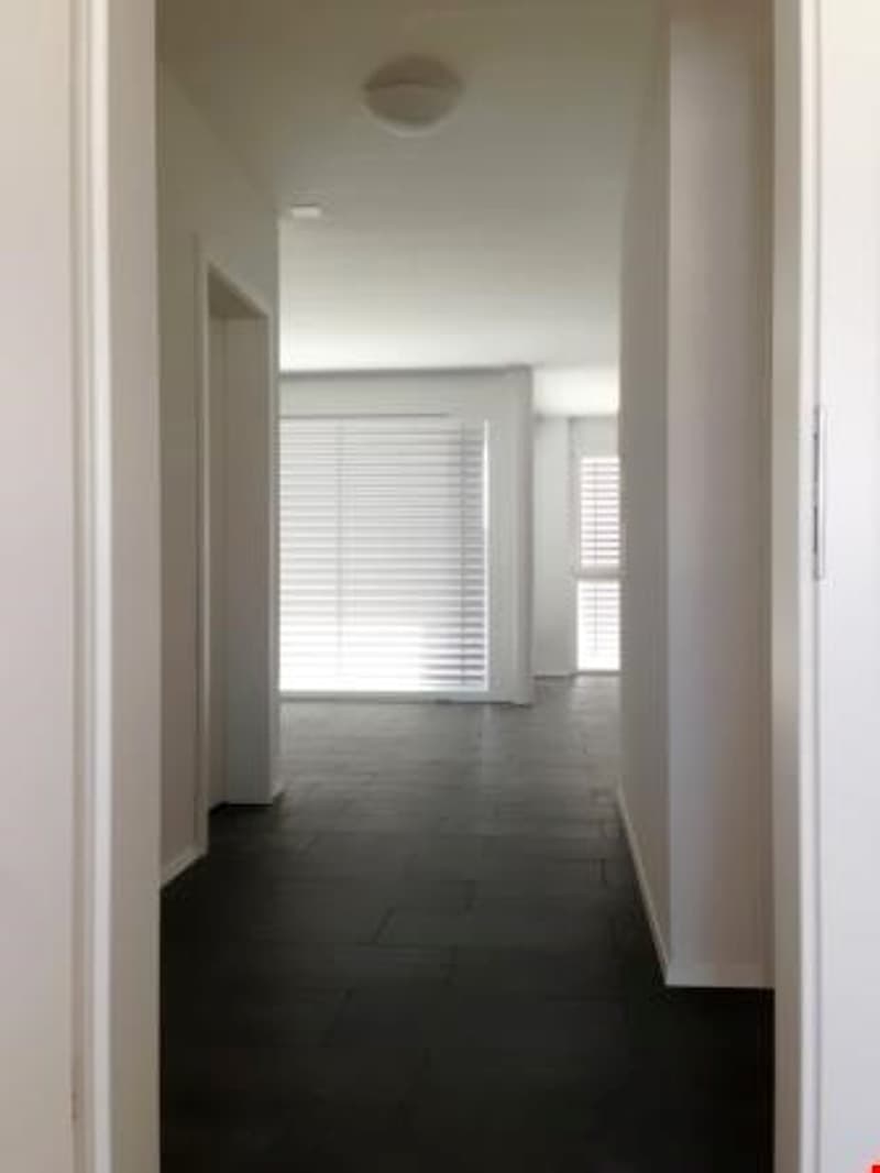 Appartement lumineux 4.5 pièces au rez-de-chaussée (3)