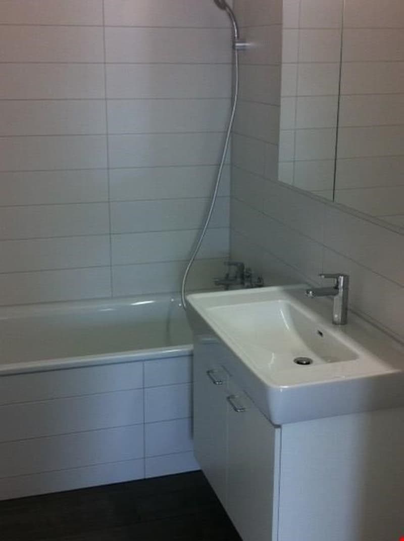 Appartement lumineux 4.5 pièces au rez-de-chaussée (4)