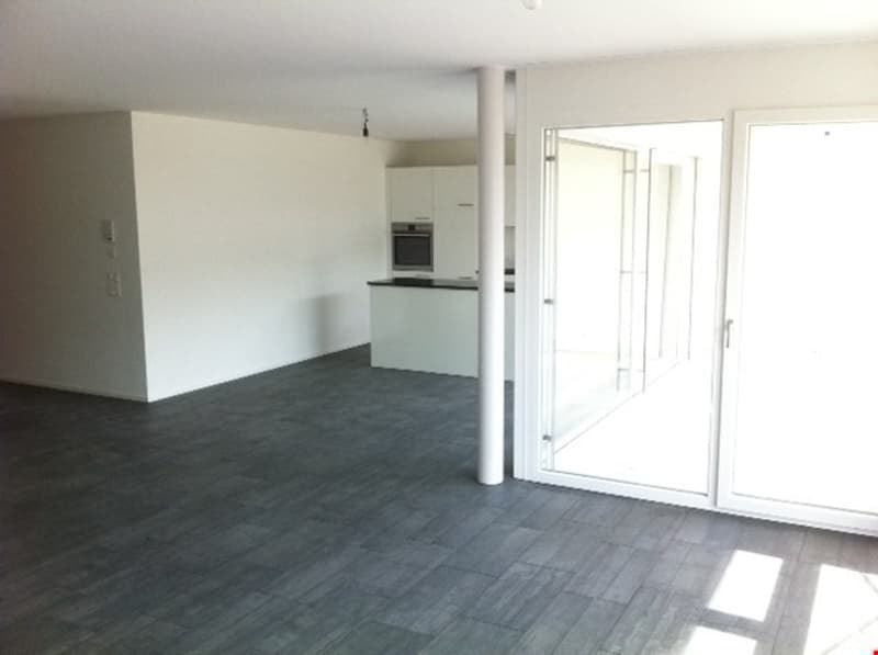 Appartement lumineux 4.5 pièces au rez-de-chaussée (9)