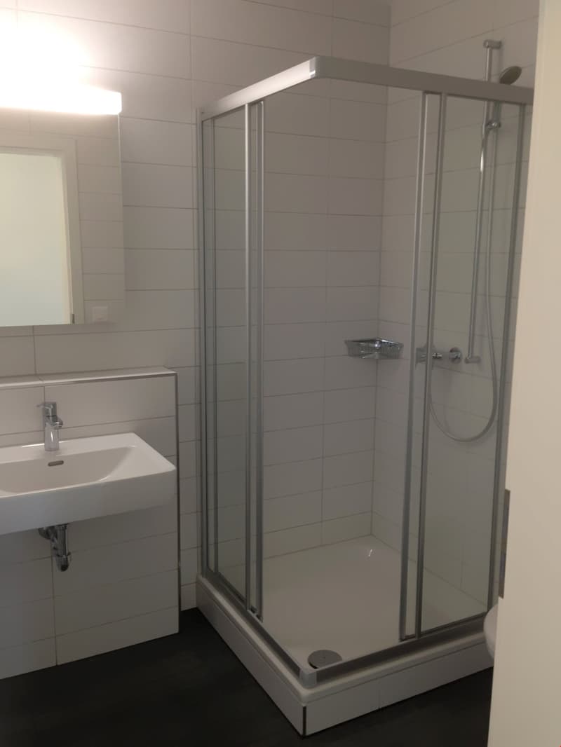 Appartement lumineux 4.5 pièces au rez-de-chaussée (5)