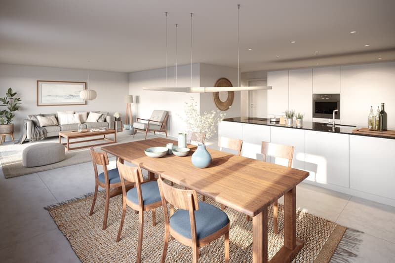 Appartement 4,5 pièces moderne à Porrentruy (3)
