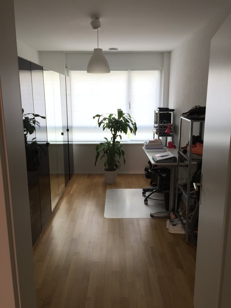 Helle 3.5-Zimmerwohnung im EG (8)
