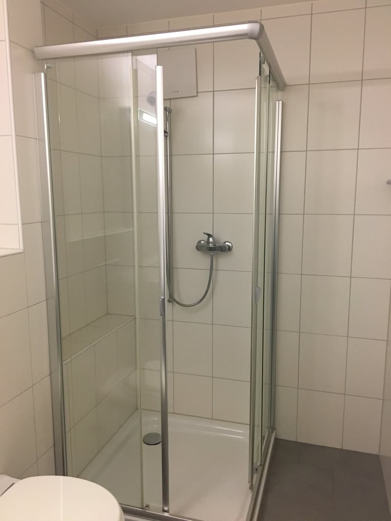Moderne 4.5-Zimmerwohnung im Zentrum von Lyss (8)