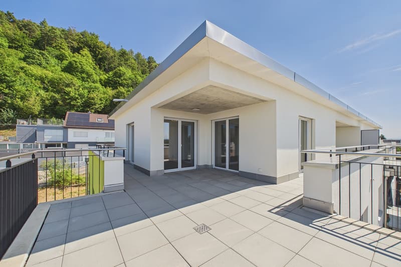 Moderne 4-Zimmer-Dachwohnung im Neubau in Gampelen (1)