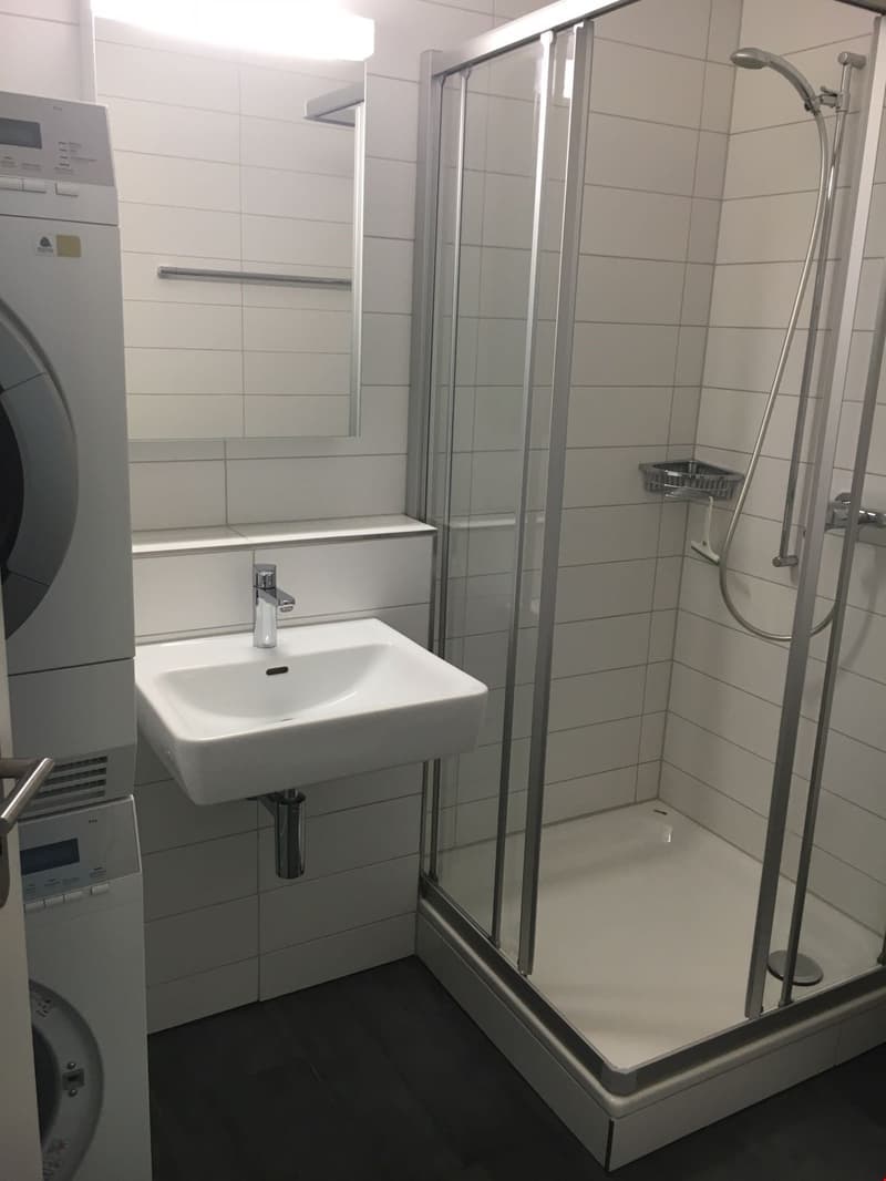 Moderne 4.5-Zimmerwohnung im Oberfeld (6)