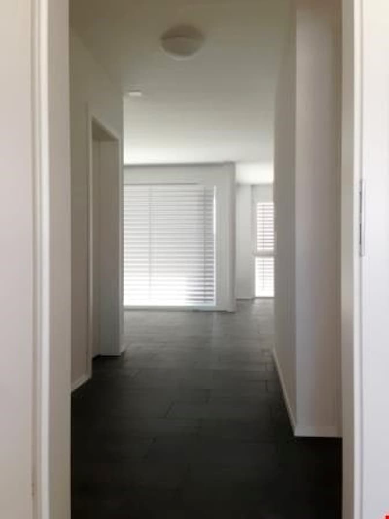 Helle und moderne 3.5-Zimmerwohnung (6)