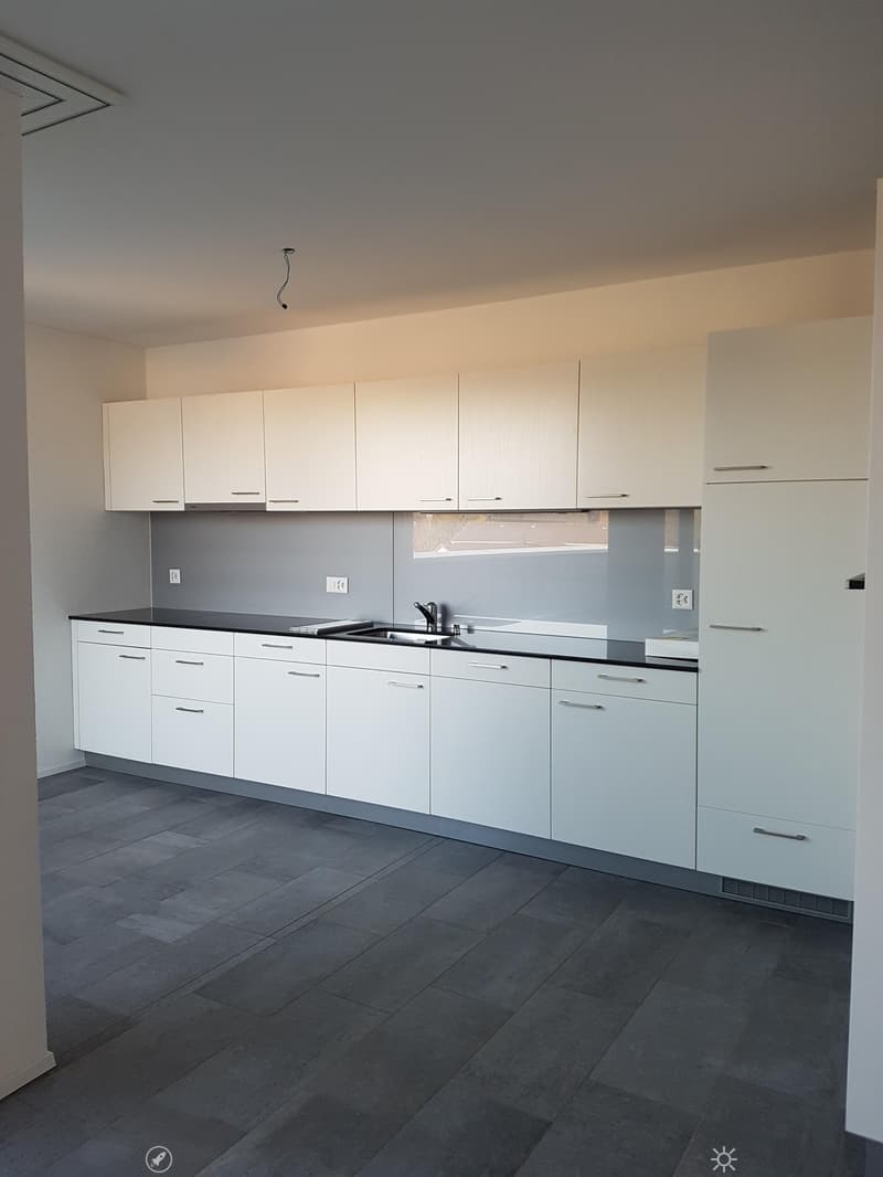 Moderne 3.5-Zimmer-Attika-Wohnung (4)