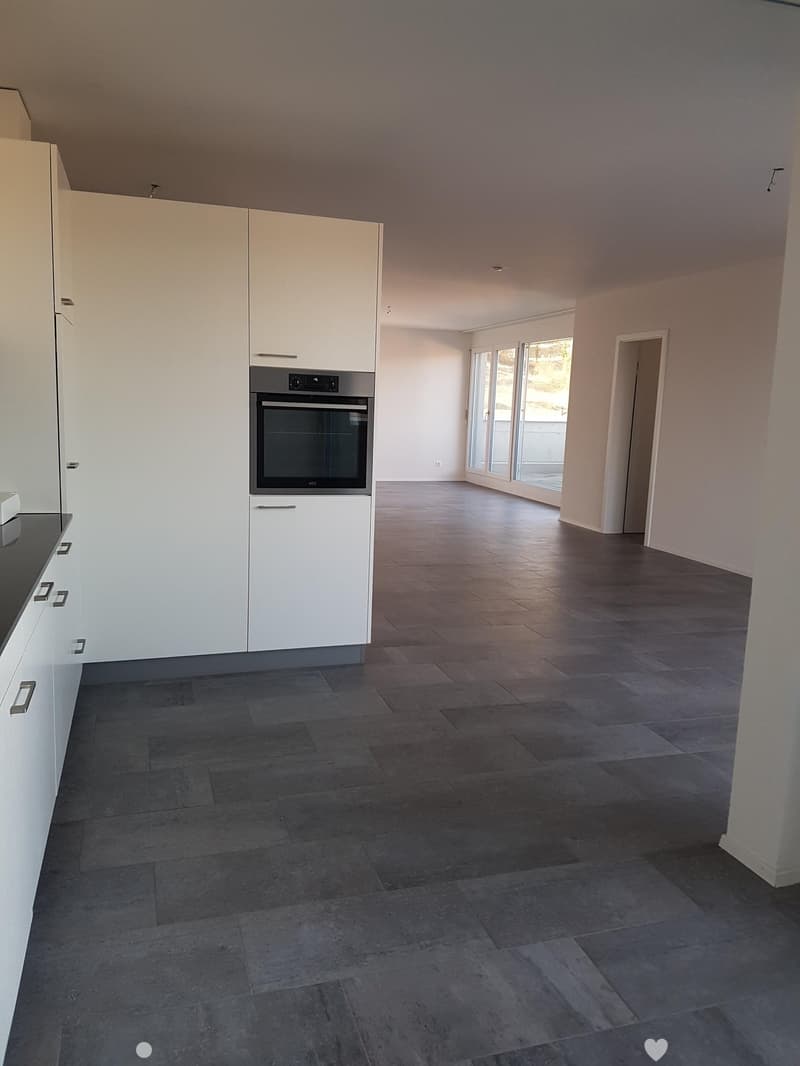 Moderne 3.5-Zimmer-Attika-Wohnung (3)