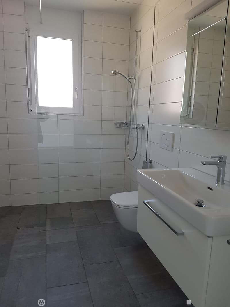 Moderne 3.5-Zimmer-Attika-Wohnung (6)